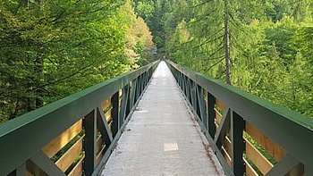 Wenn du am Soleleitungsweg wanderst, passierst du die Gosauzwangbrücke (Foto: Ferienregion Dachstein Salzkammergut / Michelle Knoll)
